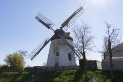 260405-1497-scaled