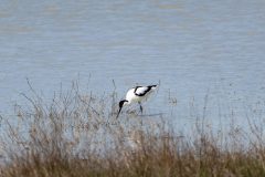 260405-1632-1-scaled