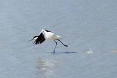 260405-1647-scaled