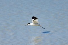 260405-1648-scaled