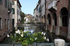 IMG_9445_1772357378