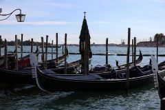 IMG_9646-scaled